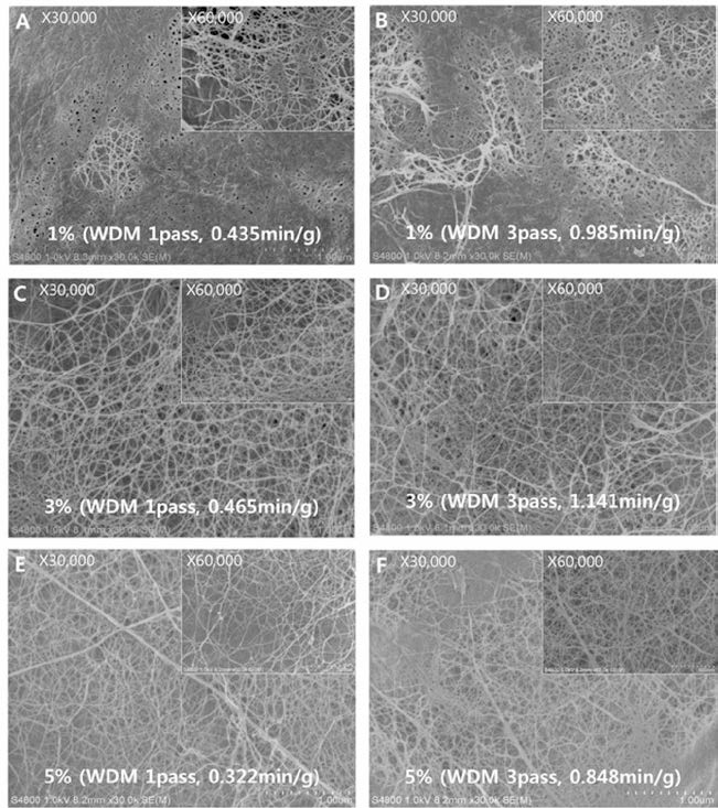 Morphology of nanofibers with different alkaline concentration and WDM time