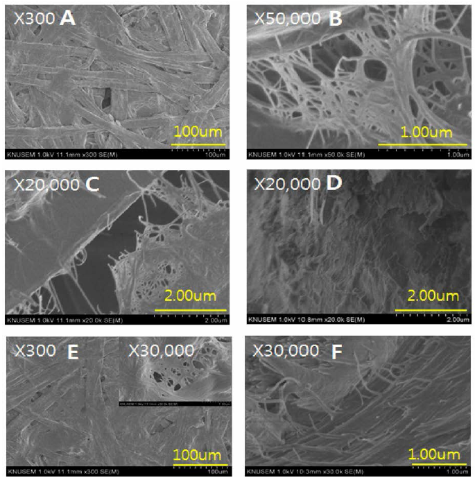 Effect of the lignocellulosic nanofiber addition on morphology of bast fiber of the paper mulberry. ； (A)-(C) : Surface section of 0.1 % added nanofiber, (D) : Cross section of 0.1 % added nanofiber, (E) : Surface section of 5 % added nanofiber, (F) : Cross section of 5 % added nanofiber