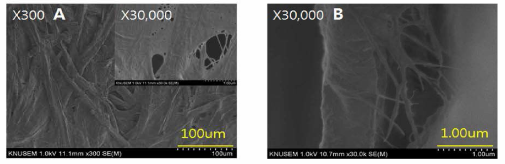 Morphology of the 0.1 % Alkaline treated nanofiber added with bast fiber of the paper mulberry. ； (A) : Surface, (B) : Cross section