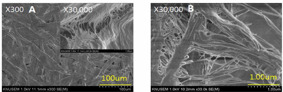 Morphology of the 5 % Alkaline treated nanofiber added with bast fiber of the paper mulberry. ； (A) : Surface, (B) : Cross section