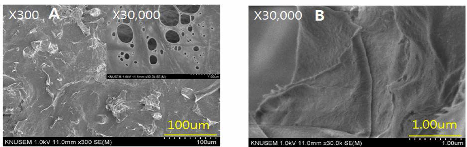 Mxphology of the 5 % CNC added with bast fiber of the p理)er mulbeny. ； (A) : Surface, (B) : Cross section