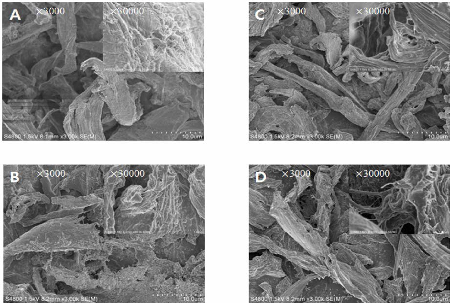 Morphology of spray-dried LCNF. (A) InT 140°C, blowing rate 0.55, concentration of NF 0.5%； (B) InT 130°C, blowing rate 0.55, concentration of NF 0.5%. (C) InT 140°C, blowing rate 0.6, concentration of NF 0.5%. (D) InT 140°C, blowing rate 0.55，concentration of NF 0.75%