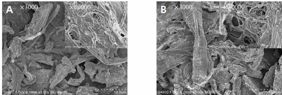 Morphology of spray-dried LCNF distributed with surfactant. (A) Concentration of surfactant 10%, (B) Concentration of surfactant 25%. 後 Spray dry condition: InT 140°C, Blowing rate 0.55，Concentration of NF 0.5%