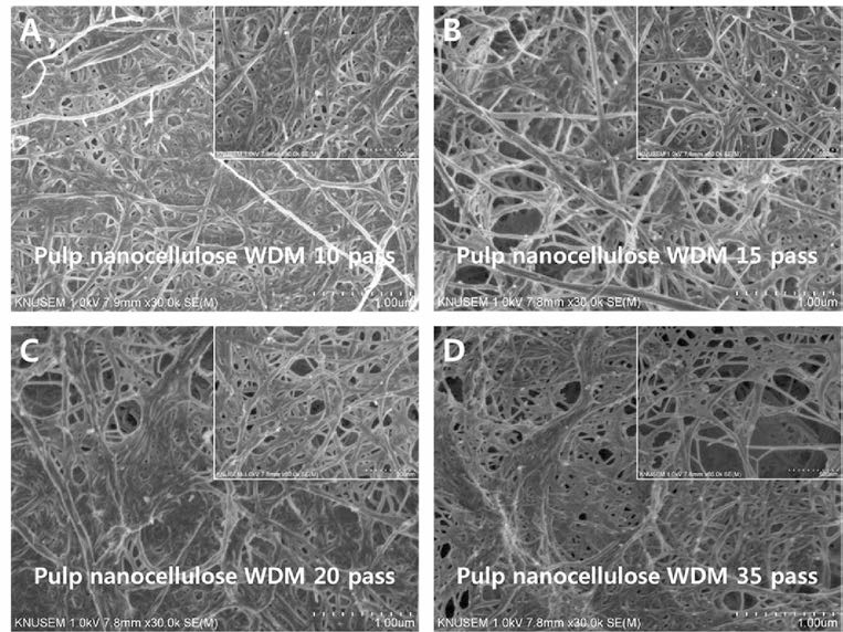 Morphology of pulp nanocellulose with different fibrillation cycles； (A) 10 pass, (B) 15 pass, (C) 20 pass, (D) 35 pass