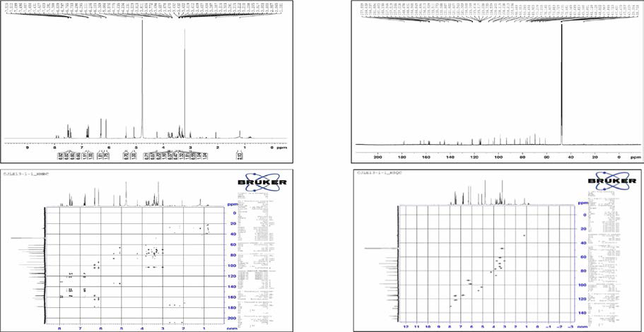 NMR spectrum of quercetin-3-O-arabinofuranoside and quercetin-3-O-xylopyranoside