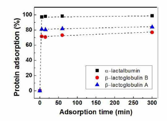 시간에 따른 PAs의 유청 단백질 흡착량의 변화