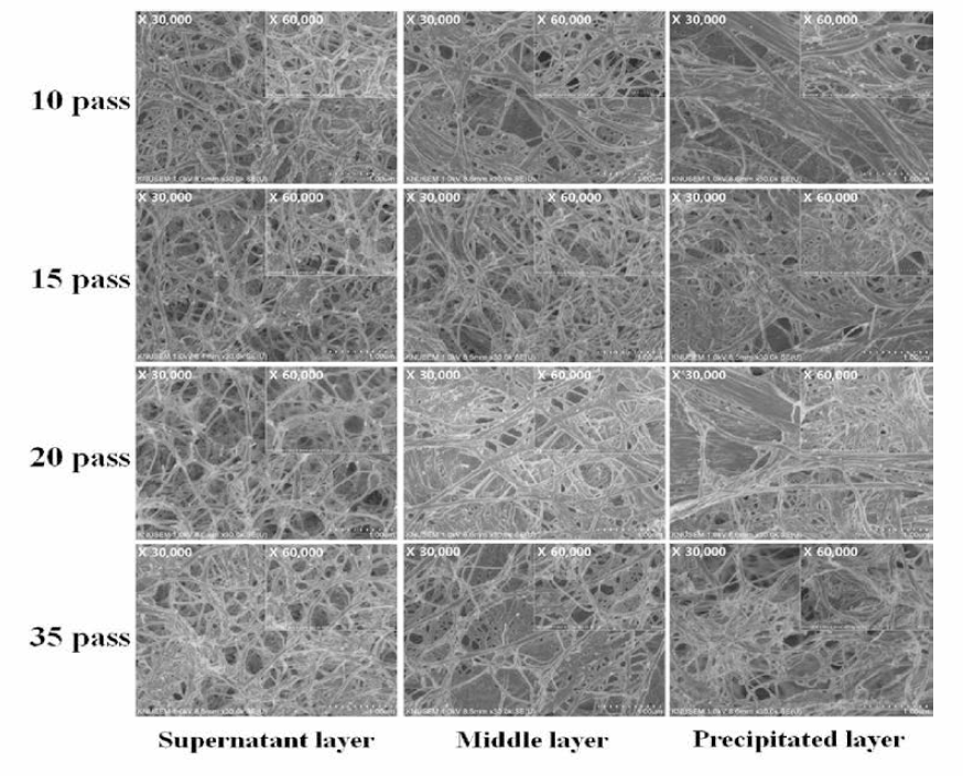 Morphologies of fractionated CNFs at each layers with WDM different passing number