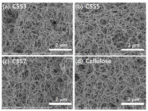 SEM images of cellulose and cellulose-silk hydrogels