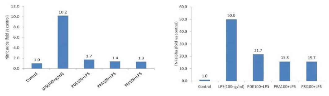 LPS로 염증 유도한 세포에서의 Nitric oxide, TNF-α 발현량 비교