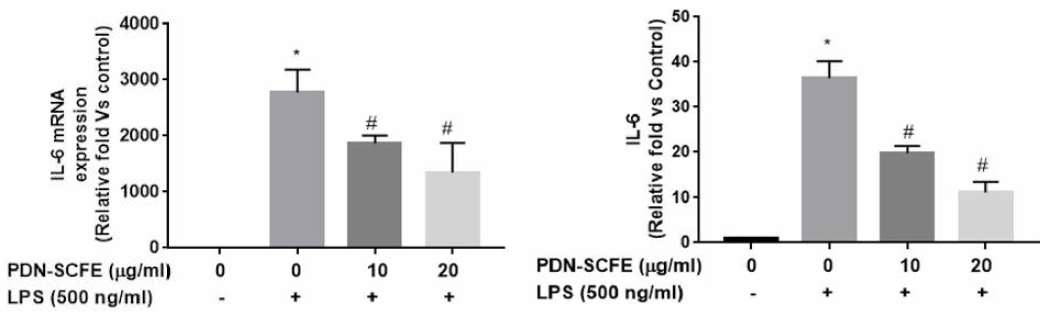 염증 유도 세포에서 IL-6 유전자 및 단백질의 발현 억제 효과
