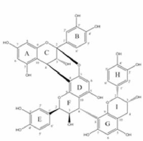 Chemical shift of cinnamtannin B1