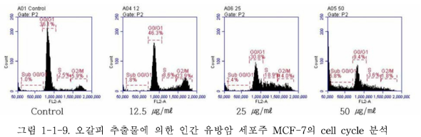 오갈피 추출물에 의한 인간 유방암 세포주 MCF-7의 cell cycle 분석