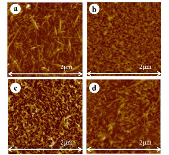 AFM topography of various CNCs. a, salix gracilistyla(갯 버들); b, bamboo； c, Populus maximowiczi(황철14무)i; d, Oenothera biennis(달맞이꽃)