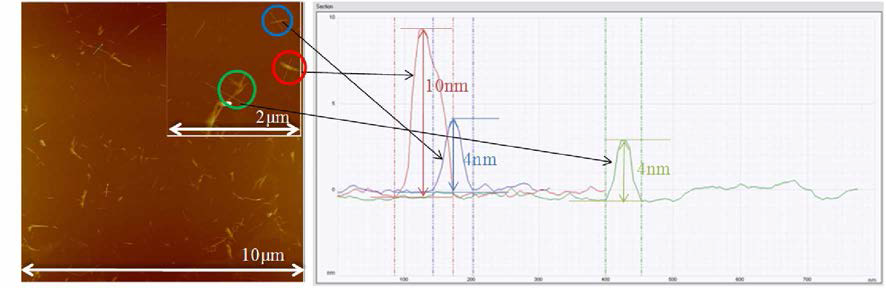 AFM topography of CNC and its line profile