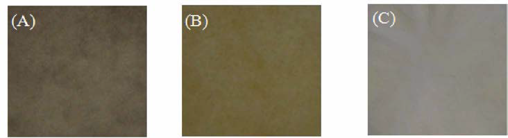 Images of apparence of nanofilms with different delignification degree(A : delignification time Oh, B: for lh, C: for 4h)