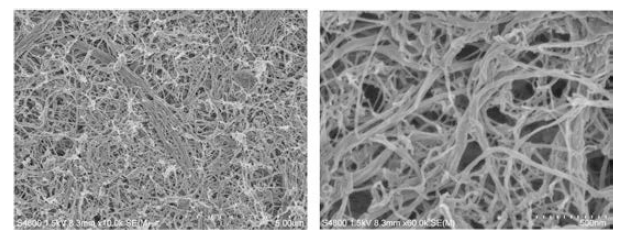 SEM micrograph of MFC. Left, x l10,000; Right, x60,000