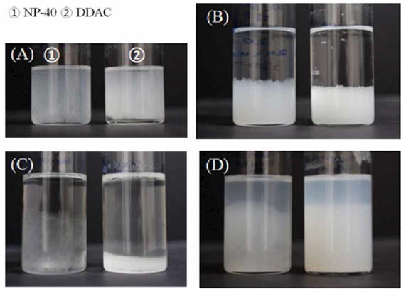 Images of redispersed nanofibers with different surfactant in different solution. (A: Chloroform, B: Acetone, C: Toluene, D: Distilled water)