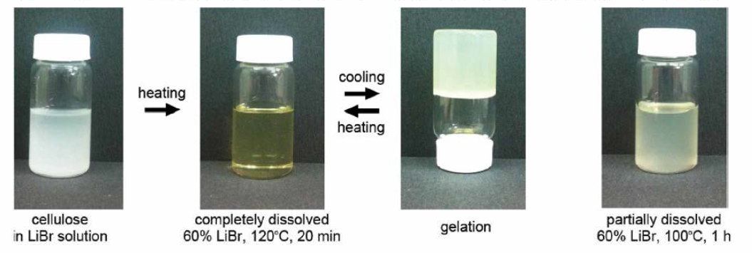 가열 및 냉각에 따른 셀룰로오스의 gelation