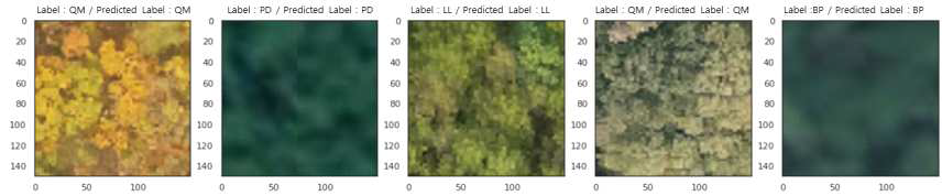 Examples of comparison between actual label and predicted label in test data sets
