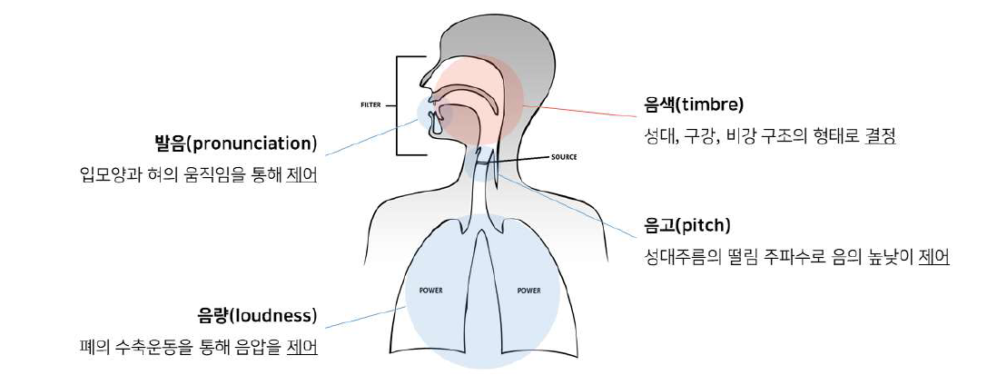 인간 음성의 발성 원리