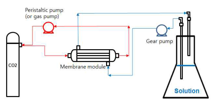 소수성 분리막을 이용한 이산화탄소 제거 실험 모식도