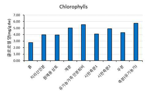 클로로필 농도 비교