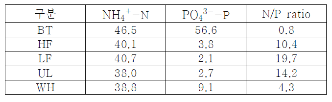 배양 시 기질별 N, P 농도와 N/P ration