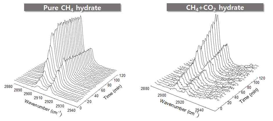 CH4(50%)+CO2(50%)하이드레이트의 in-situ Raman 스펙트럼