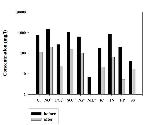 모래여과기 설치 전과 후의 이온 분석 결과