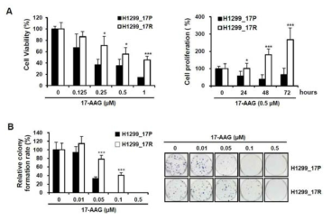 17-AAG 내성 폐암세포주 및 원세포주의 생존율 및 성장률 변화