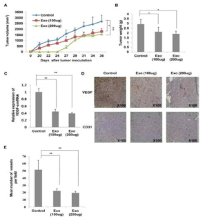 MSC-derived exosomes suppress angiogenesis in vivo