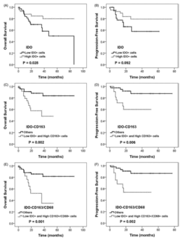 Kaplan–Meier plots with log-rank test for overall survival (OS) and progression-free survival (PFS) in patients with DLBCL treated with R-CHOP