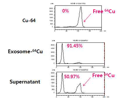 64Cu-NOTA-엑소좀 표지 확인