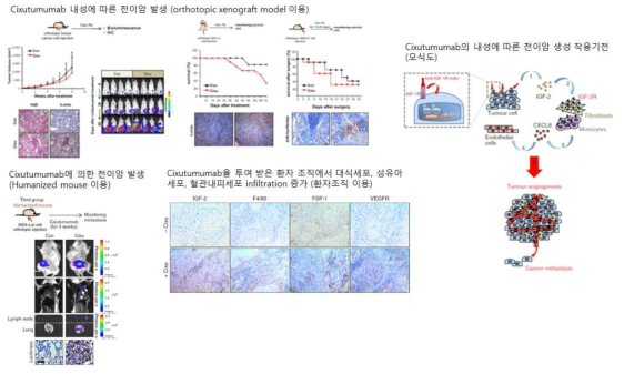 종양-종양미세환경 상호작용이 매개하는 표적 항암제 내성 기전