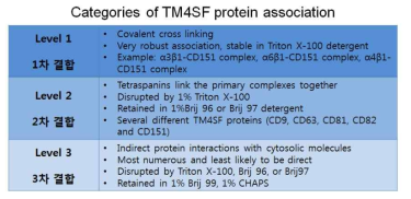 TERM에서 이루어지는 단백질-단백질 결합의 특성