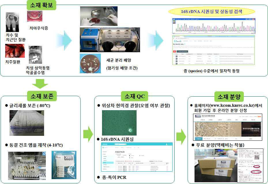 한국구강미생물자원은행 연구 개념도