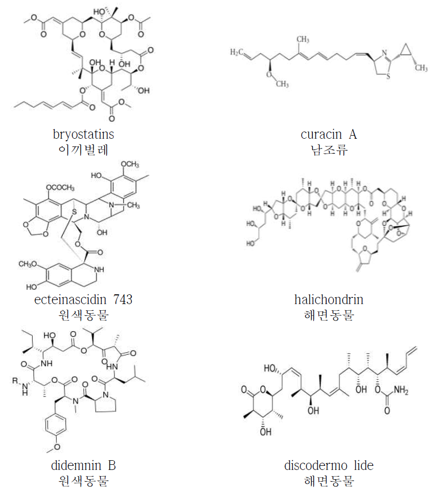 의약품으로 개발 중인 해양천연물질 (출처:wikimedia)