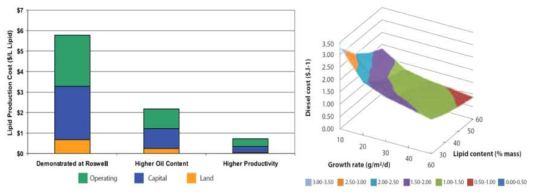 지질 함량과 생장률이 생산 비용에 미치는 영향 (출처: IEA, 2010)