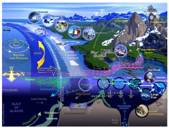 해양환경 및 자원 (내셔널지오그래픽)