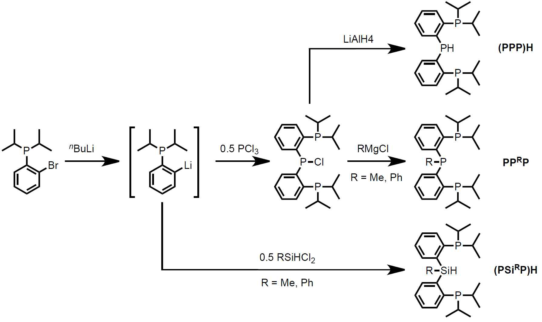 PPP, PPRP 및 PSiRP 리간드의 합성
