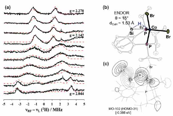 상자기성 Co-(η1-H-Si) 종의 ENDOR와 DFT 계산을 통한 분석