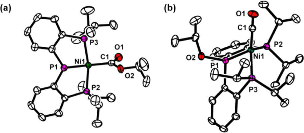 (PPP)Ni(OiPr)과 일산화탄소의 반응 (a) (PPP)Ni(COOiPr) 그리고 (b) (PPOiPrP)Ni(CO)