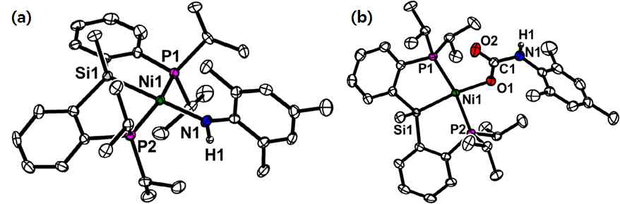 (MeSiP2)Ni(NHAr)와 (MeSiP2)Ni(OCONHAr)의 결정구조
