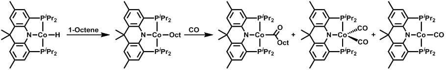 (acriPNP)CoH를 이용한 1-Octene의 카보닐화 반응