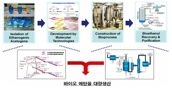바이오 에탄올 생산을 위한 전 과정