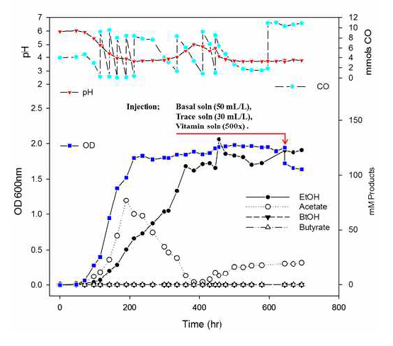 CO 지속 공급을 통한 Clostridium autoethanogenum의 fed-batch 배양