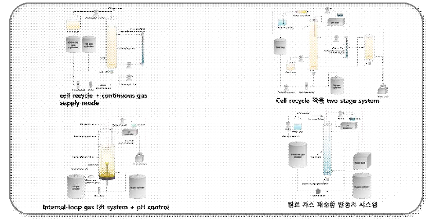본 연구에서 사용하는 생물 반응기 시스템을 이용한 다양한 반응기 운전 전략