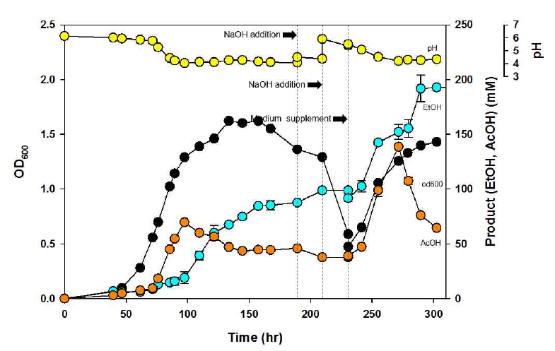 생물반응기 운전을 통한 C. autoethanogenum 의 회분배양 및 간헐적 배양액 교체 운전 그래프. 2 M NaOH 용액을 주입하여 pH 조절