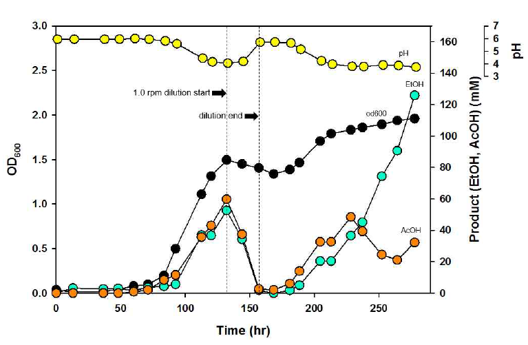 생물반응기 운전을 통한 C. autoethanogenum 의 회분배양 및 간헐적 배양액 교체 운전 그래프. 배양액 희석을 통해 pH를 조절