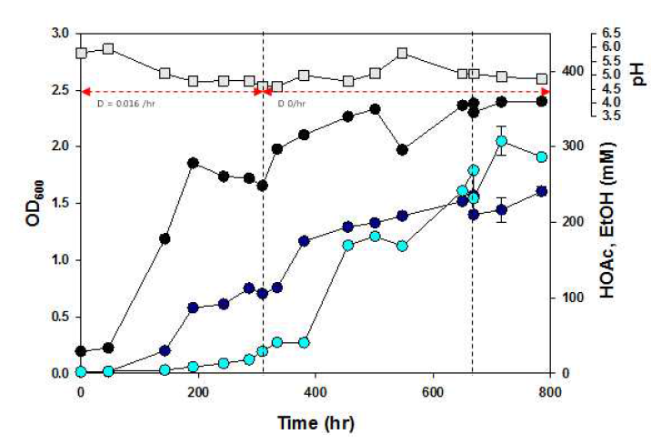 CO 연속 공급형 bubble column 반응기 운전을 통한 C. autoethanogenum 산물 생산 양상 (■ : pH, ●: OD, ● : acetate, ● : ethanol)